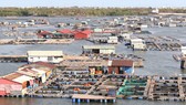 Lồng bè nuôi trồng thủy sản dày đặc trên sông Chà Và