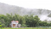 1 triền núi trên 10 doanh nghiệp hoạt động
