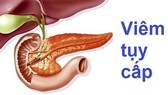 Đề phòng bệnh viêm tụy cấp sau tết