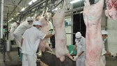 Quy hoạch lò giết mổ gặp vướng mắc
