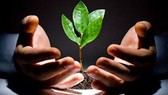 Ươm tạo 5 dự án khởi nghiệp đổi mới sáng tạo