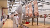 Khám phá bí mật giúp thịt mát công nghệ Châu Âu tươi ngon suốt 09 ngày (*)