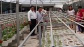 Nông dân ở nhiều huyện ngoại thành TPHCM chuyển qua trồng hoa kiểng, phù hợp với nền nông nghiệp đô thị. Ảnh: Minh Hiếu
