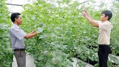 Hỗ trợ nông dân phát triển nông nghiệp công nghệ cao