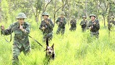 Cán bộ, chiến sĩ đơn vị Cụm cơ động chó nghiệp vụ 3 huấn luyện cảnh khuyển mật phục bắt tội phạm ma túy