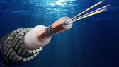 VNPT đảm bảo tốc độ truy cập Internet chiều đi quốc tế