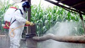 Tập trung phòng chống dịch cúm gia cầm
