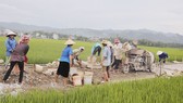 Hơn 2.900 xã vùng dân tộc thiểu số về đích nông thôn mới