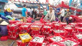 Lộc biển đầu hè