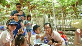 Cha mẹ không nhất thiết việc gì cũng làm thay con cái nếu như muốn để chúng lớn khôn. Ảnh: HOÀNG HÙNG