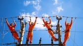 Sớm bàn giao mặt bằng dự án lưới điện trọng điểm