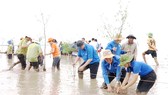 Nhóm bạn trẻ của chương trình “Hạnh Phúc Xanh” trồng rừng ngập mặn