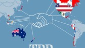 Chạy nước rút với TPP tại APEC