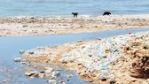 Nguy cơ ô nhiễm rác thải nhựa ở biển Địa Trung Hải