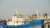 Ngư dân ôm nợ vì tàu nằm bờ
