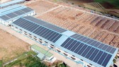 Điện mặt trời trên mái nhà: Điện lực có trách nhiệm kiểm tra, giám sát vận hành