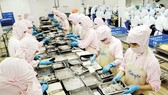 Xuất khẩu tôm đặt mục tiêu trên 4,2 tỷ USD trong năm 2019