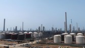 Nhiên liệu sinh học cho máy bay