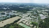 Đất nông nghiệp tại một huyện ở TPHCM. Ảnh: THÀNH TRÍ