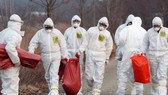 Xuất hiện virus cúm gia cầm có thể gây tử vong ở người