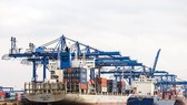 Liên kết, hợp tác cùng phát triển