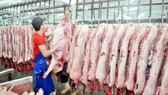 Đối với mặt hàng thịt heo, giá bán chung trên thị trường vẫn ổn định