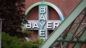 Logo của Bayer AG bên ngoài một nhà máy của nhà sản xuất dược phẩm và hóa chất Đức, ngày 9 tháng 8 năm 2019. Ảnh: REUTERS