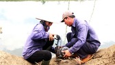 Thủy điện An Khê-Ka Nak xả nước cứu hàng trăm ha lúa, hoa màu cho người dân xã Tây Thuận, huyện Tây Sơn, tỉnh Bình Định. Ảnh: NGỌC OAI