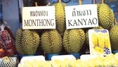 Hộp chống mùi sầu riêng khi vận chuyển