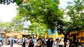 Trường học có thể vận động quỹ chăm sóc cây xanh