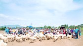 Du khách vui chơi tại một điểm đến ở Việt Nam vào tháng 7-2020. Ảnh: ANH HOÀNG