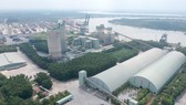Cơ hội phục hồi ngành sắt thép, xi măng