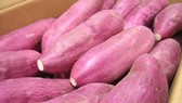 Từ chuyện củ khoai lang