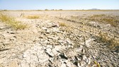 Hạn hán do thiếu mưa ở Maricopa, bang Arizona (Mỹ)