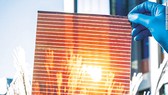 Pin Mặt trời thế hệ mới