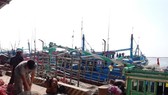 Binh Thuan's fishermen busily prepare for fishing trip after storm