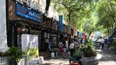 The HCMC Book Street attracts also a huge number of visitors during the Tet holidays -Photo: SGGP