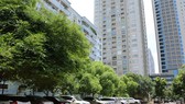 Cars parked in a play ground of apartment buildings in Trung Hòa-Nhân Chính Urban Area in Hà Nội’s Cầu Giấy District. — VNS Photo Đoàn Tùng