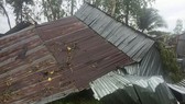 Cyclones blew away the roof of 97 houses in Can Tho