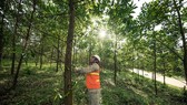 WWF report warns ASEAN banks