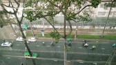 TPHCM và Nam bộ cũng tiếp tục có mưa vừa, mưa to. Ảnh: TRUNG THU