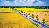 Con đường lúa gạo miệt Ngàn
