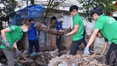 Kịp thời phát hiện các điểm đen về rác