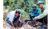Kiểm tra độ ẩm của rừng tại Vườn quốc gia U Minh Hạ (Cà Mau). Ảnh: TẤN THÁI