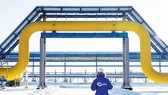 OPEC+ muốn cắt thêm sản lượng, giá dầu vẫn giảm