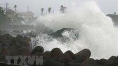 Bão Maysak tấn công Đông Bắc Á