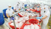 Tận dụng cơ hội từ các FTA