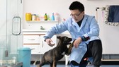 Chú chó nhân bản vô tính Kunxun tương tác với một nhà nghiên cứu ở Bắc Kinh, Trung Quốc, ngày 22-2. Ảnh: CHINA DAILY