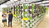 Bây giờ người dân dư sức tạo những dòng nông sản chất lượng cao