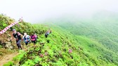 Ký sự Marathoner: Vượt đỉnh Hoàng Liên Sơn hùng vĩ
